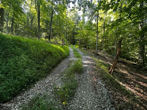 Tbd Clinch Mountain Rd, Eidson, TN, 37731 | Card Image