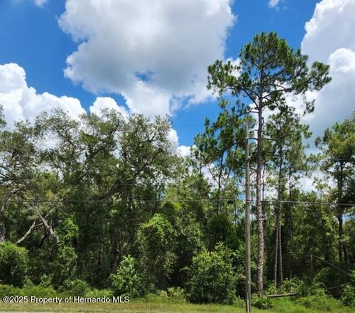 0 Treiman Blvd., Webster, FL, 33597 | Card Image