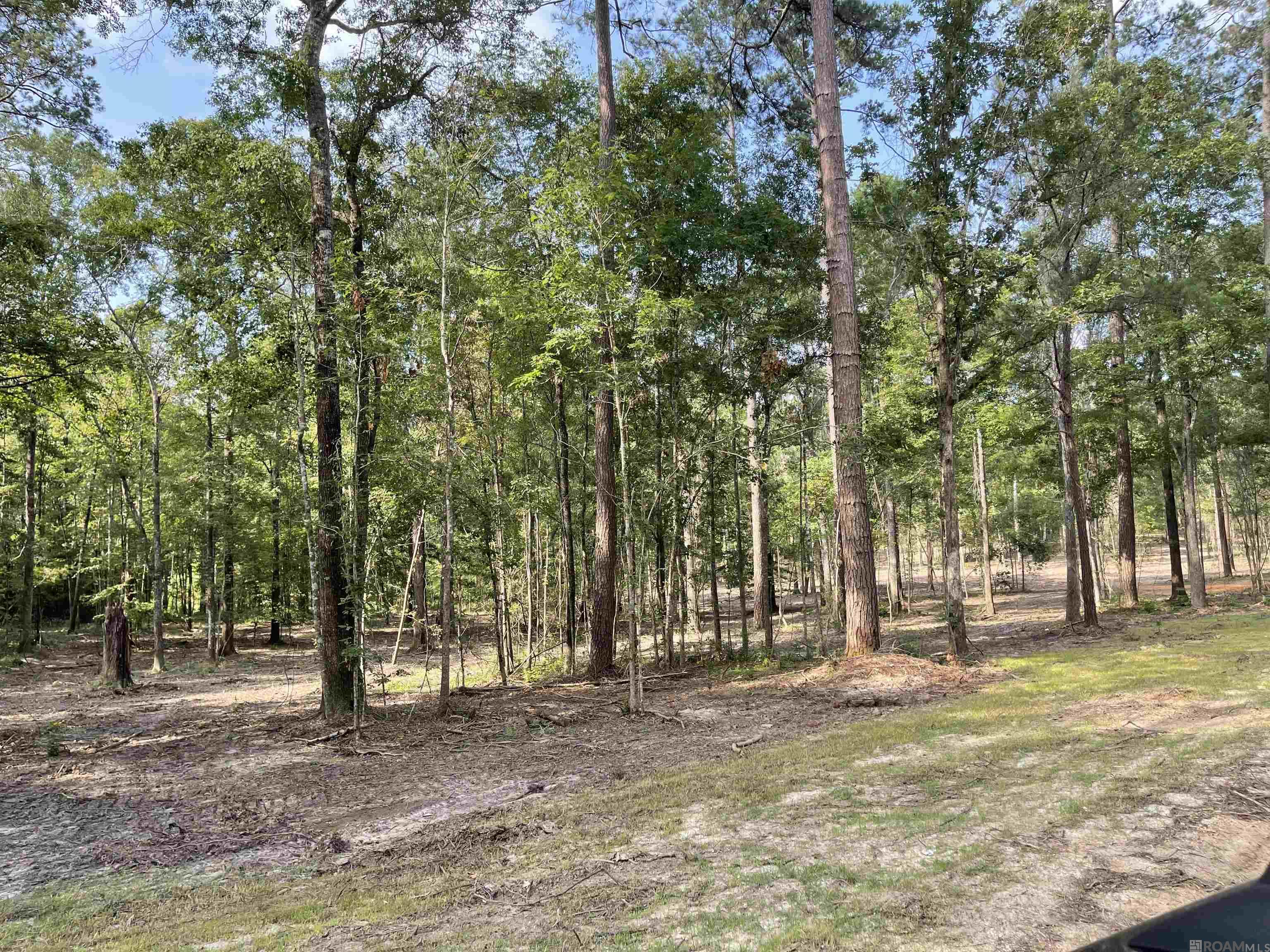 Land in Clinton 3