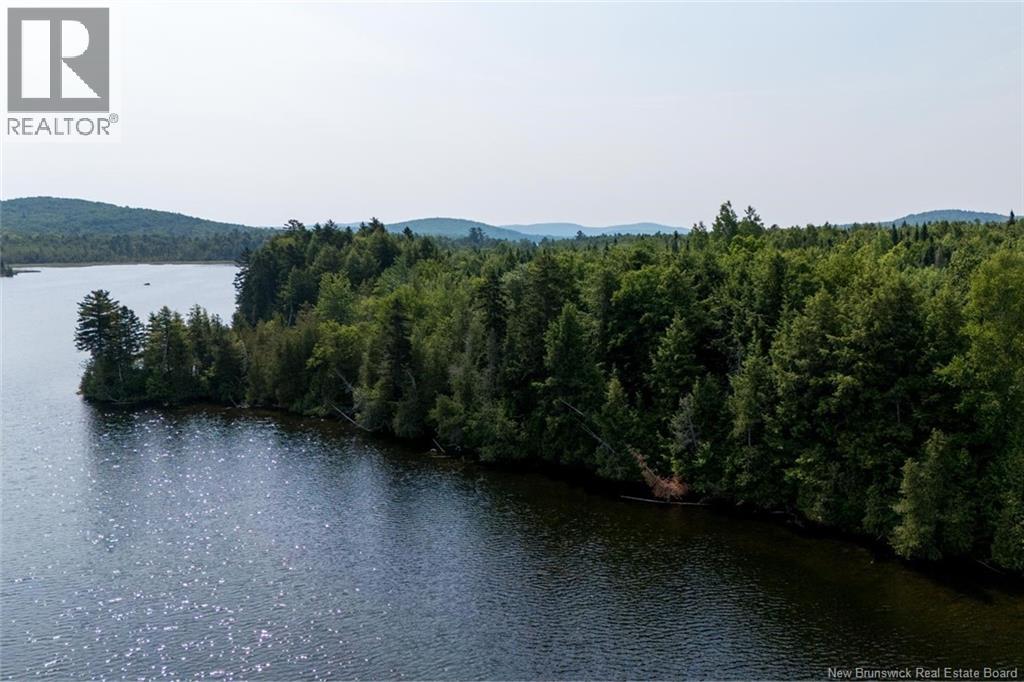 Land in Upper Skiff Lake 4