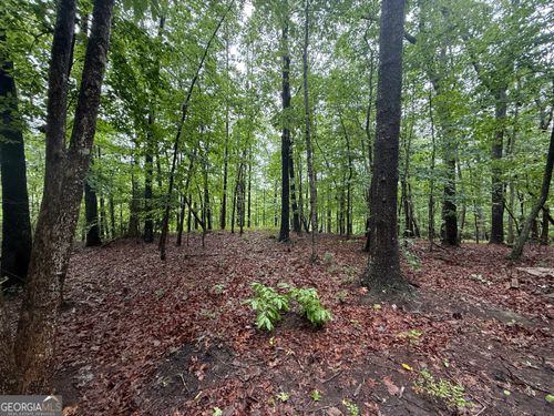 0 Hammond Dr, Toccoa, GA, 30577 | Card Image