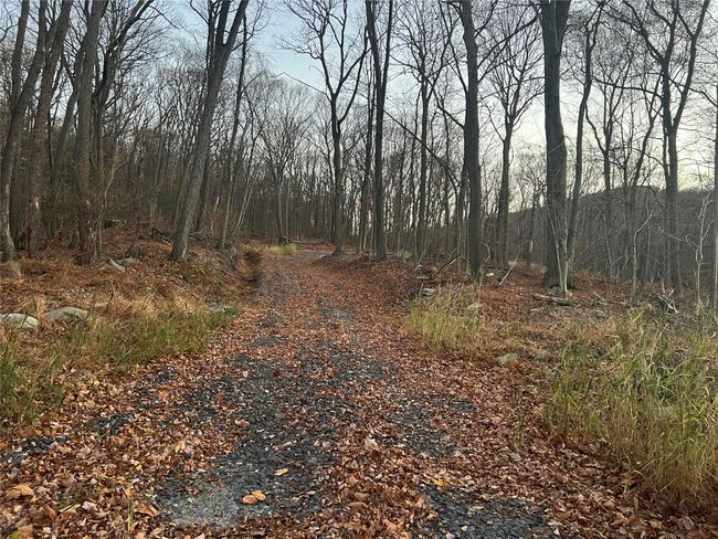 View of road | Image 9