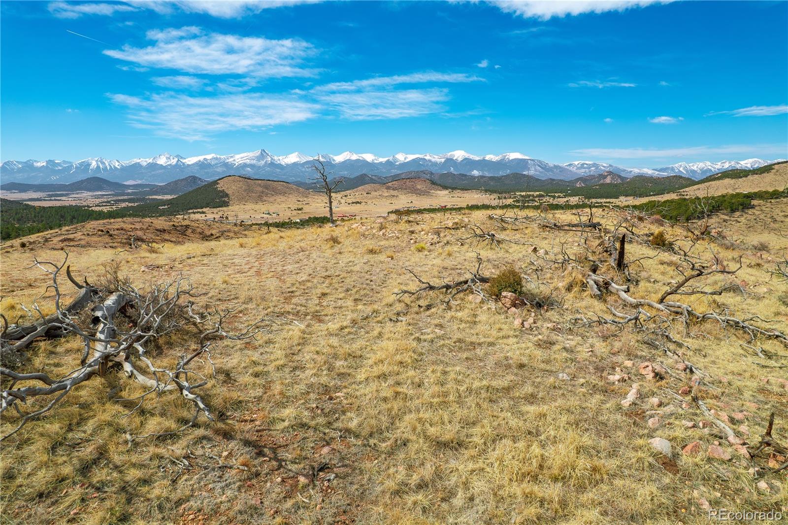Land in Cotopaxi 3