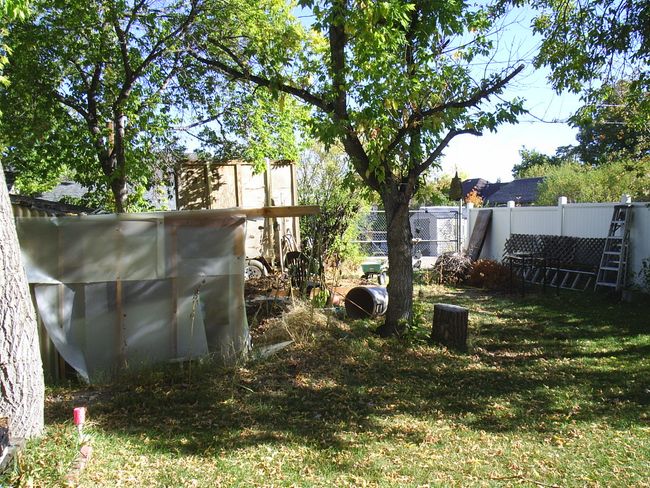 View of yard | Image 6