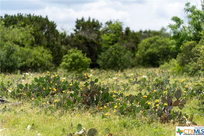 12283 Crows Ranch Rd, Home with 0 bedrooms, 0 bathrooms and null parking in Salado TX | Image 10