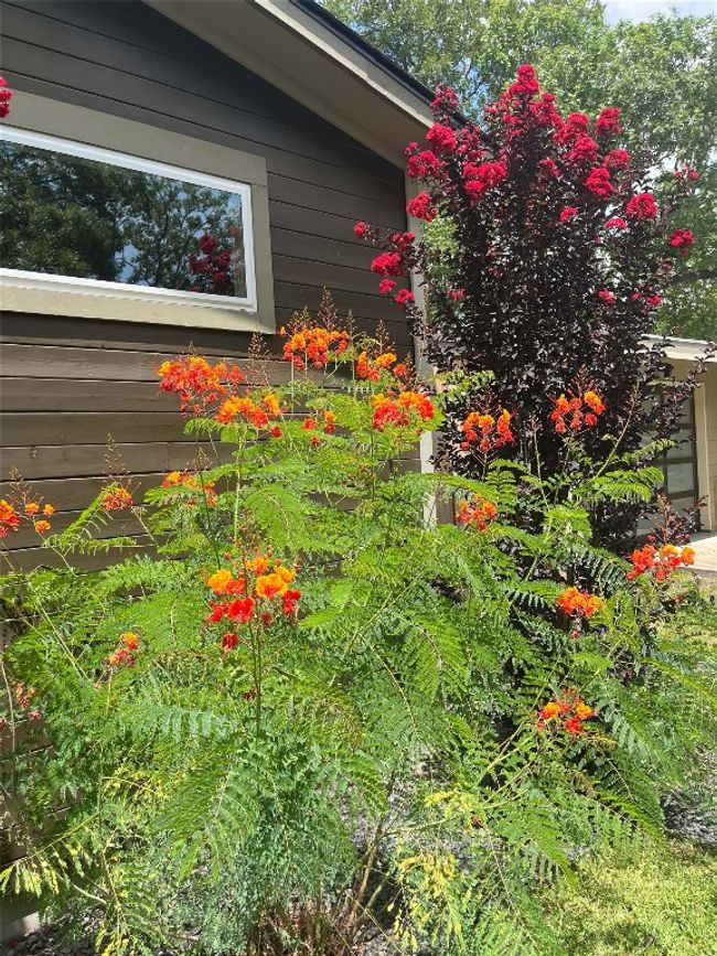 1812 Aggie Ln, House other with 4 bedrooms, 3 bathrooms and 6 parking in Austin TX | Image 30