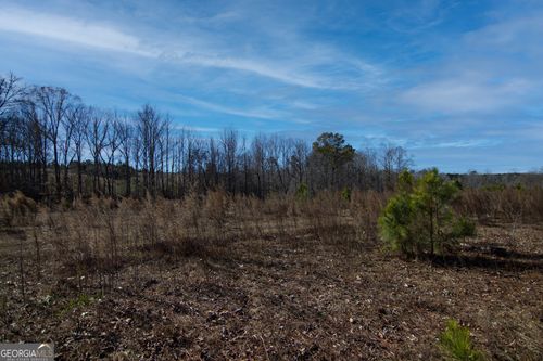 Tract 6 - 0 Chestnut Grove Rd, Shiloh, GA, 31826-4500 | Card Image