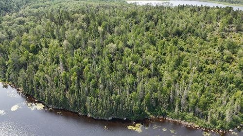 B Lac Du Douze, Fugèreville, QC, J0Z2A0 | Card Image