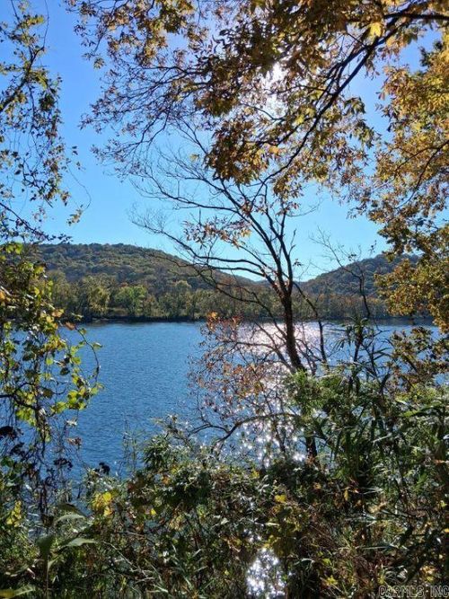 000 Penters Bluff River Road, Guion, AR, 72540 | Card Image