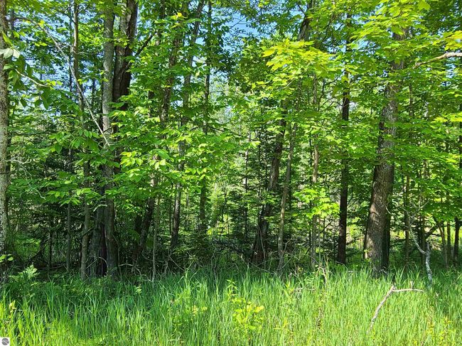1281 W Trask Lake Rd, Home with 0 bedrooms, 0 bathrooms and null parking in Barton City MI | Image 5
