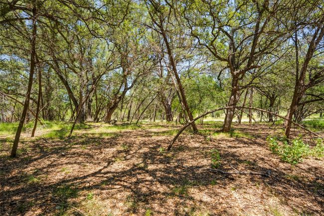 View of undeveloped land | Image 12