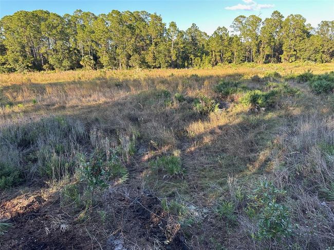 Back 2.5 acres of pasture | Image 9