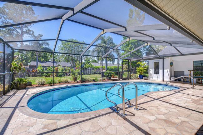 Pool - Screened Lanai | Image 7