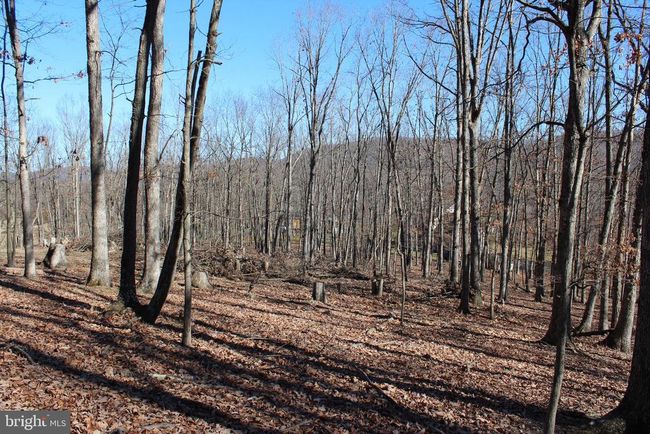141 Hillcrest Dr, Home with 0 bedrooms, 0 bathrooms and null parking in New Creek WV | Image 19
