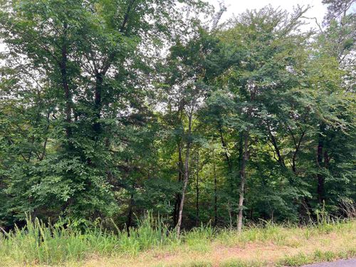 114 Pamplona Way, Hot Springs Village, AR, 71909 | Card Image