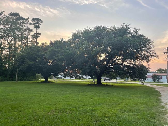 View of grassy yard | Image 38