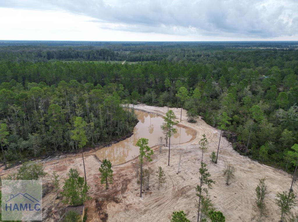 Land in Jesup 5