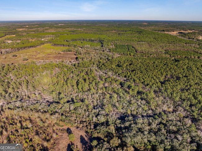 0 Highway 185, Home with 0 bedrooms, 0 bathrooms and null parking in Saint George GA | Image 10