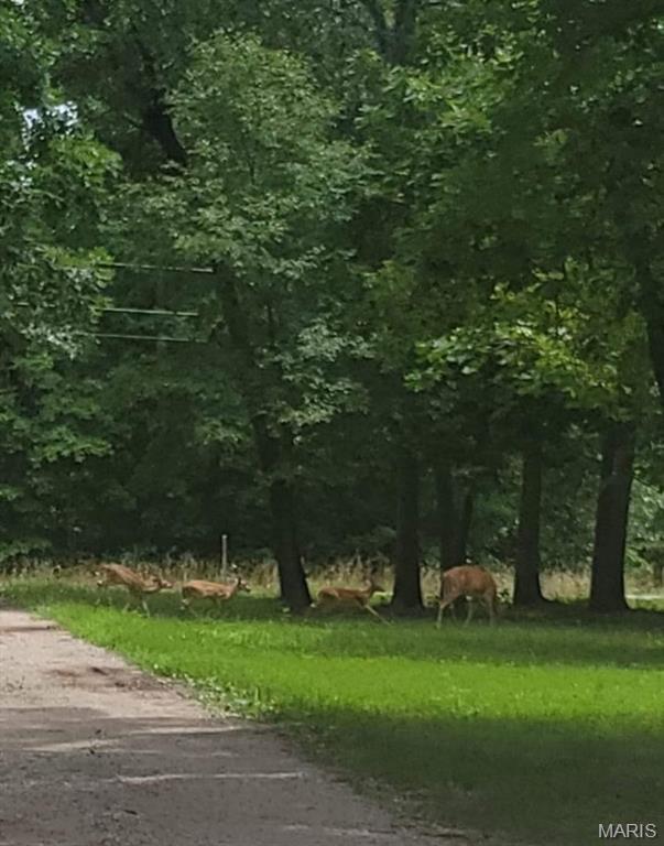 Land in Monroe City 3