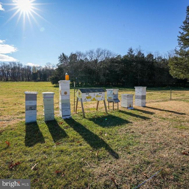 300 Martin St, House other with 4 bedrooms, 2 bathrooms and null parking in LURAY VA | Image 56