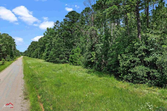 TRACT-1 - TBD Pr 1335, Home with 0 bedrooms, 0 bathrooms and null parking in Marshall TX | Image 6