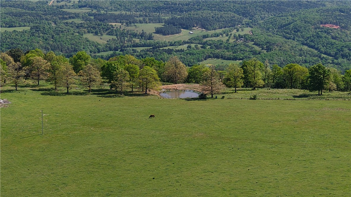 Land in Mount Judea 4