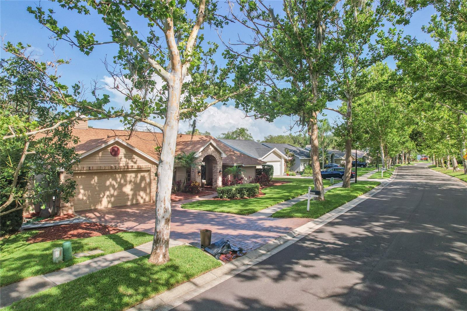 Residential in PALM HARBOR 3