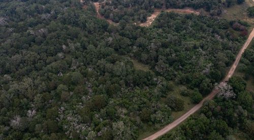 4 Private Road 4601, Waelder, TX, 78959-5338 | Card Image