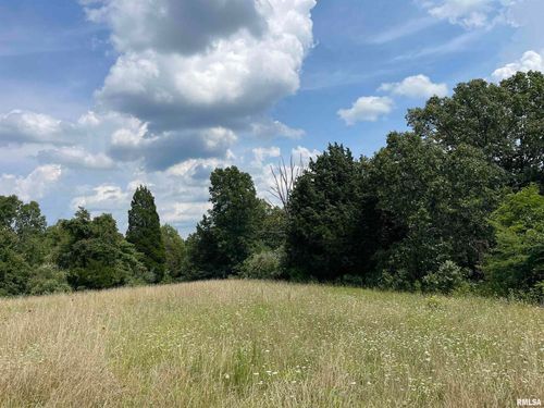 000 Gape Hollow Rd, Herod, IL, 62947 | Card Image