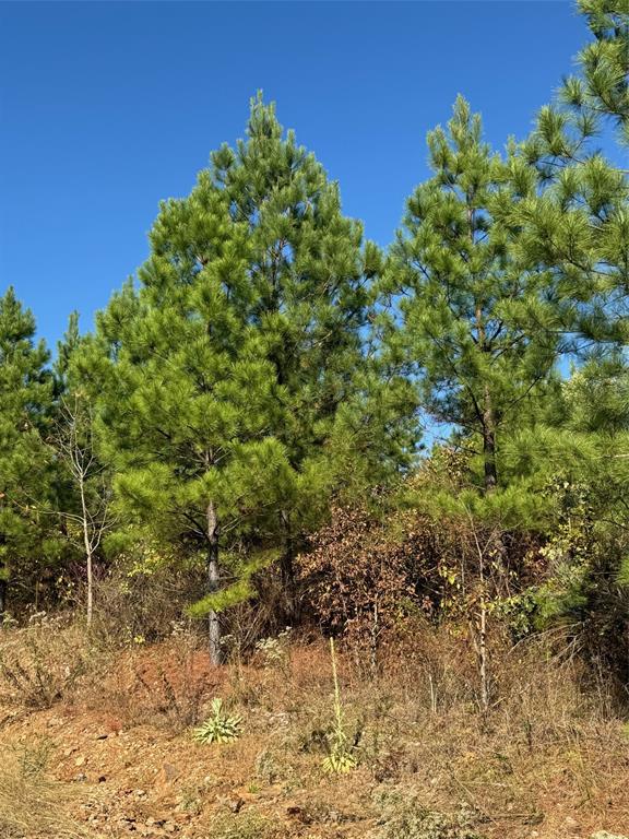 Land in Broken Bow 5