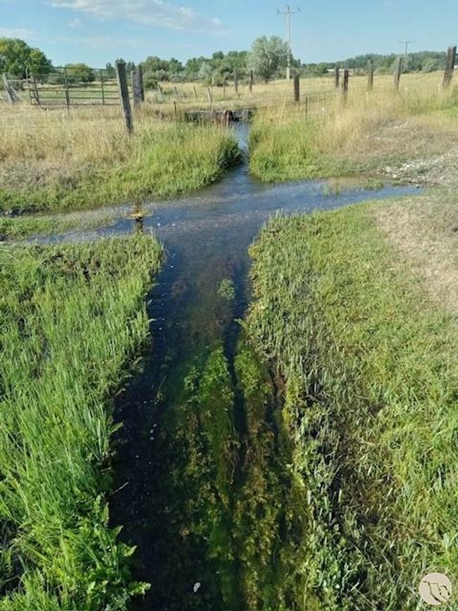 Hunter Creek runs water year around. | Image 35