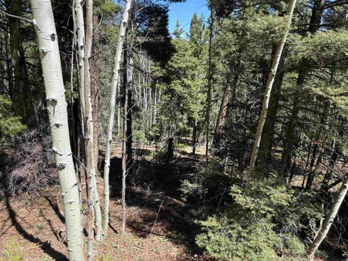 Lot 716 Santo Domingo Trl, Angel Fire, NM, 87710 | Card Image