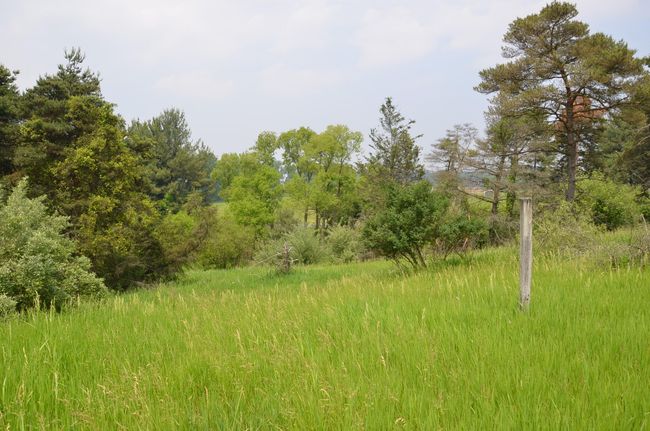 4500 S 42 Nd St, Home with 0 bedrooms, 0 bathrooms and null parking in Climax MI | Image 23