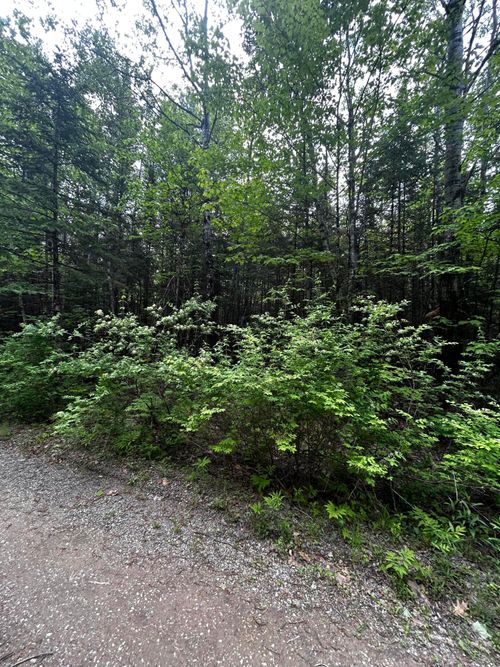 Lot 9-2 Lilly Drive, Newport, ME, 04953 | Card Image