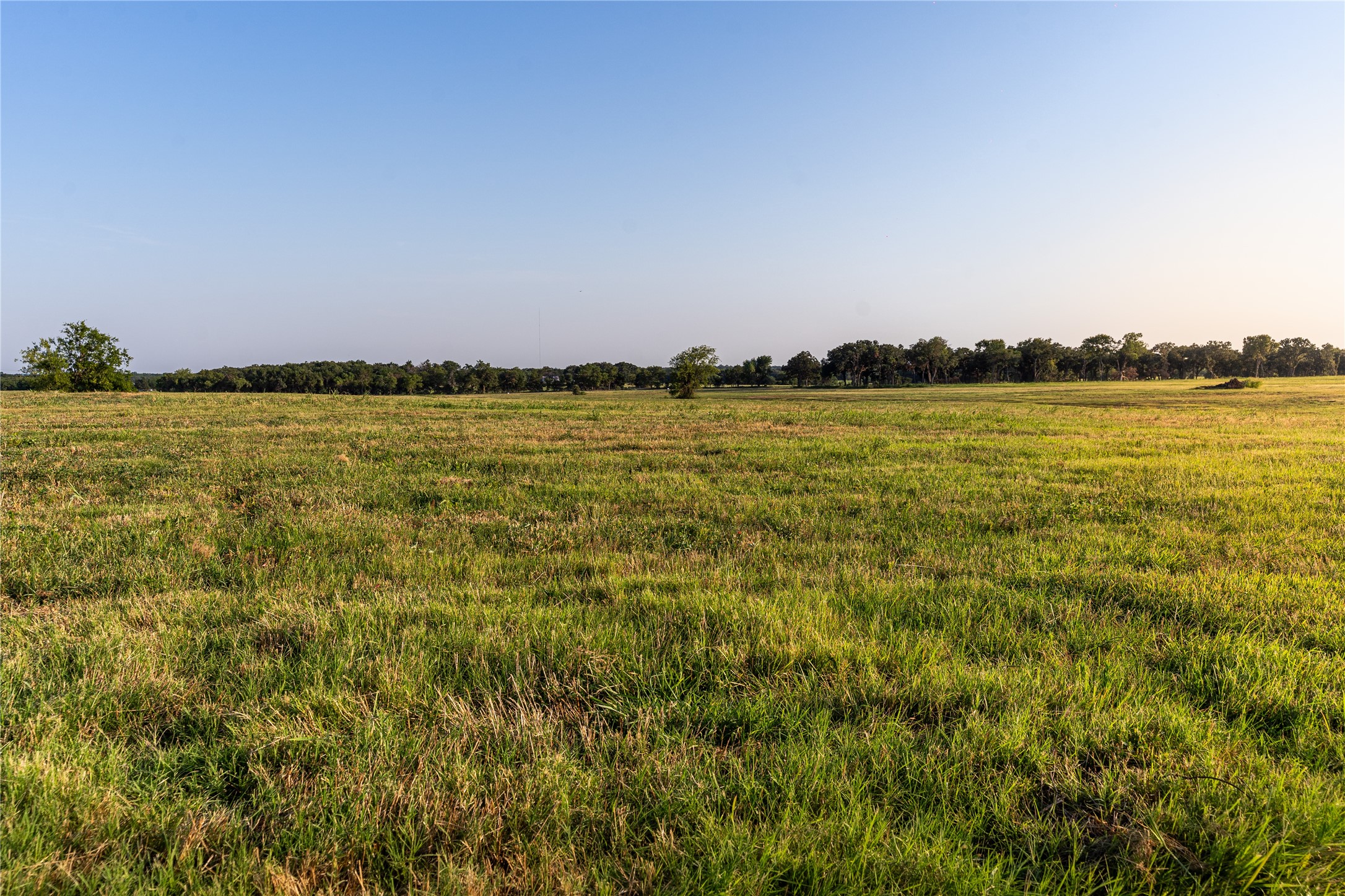 Land in Whitesboro