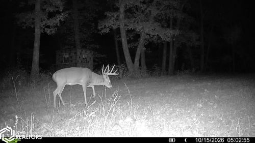 13241 Hickory Blvd, Drakesville, IA, 52552-8638 | Card Image