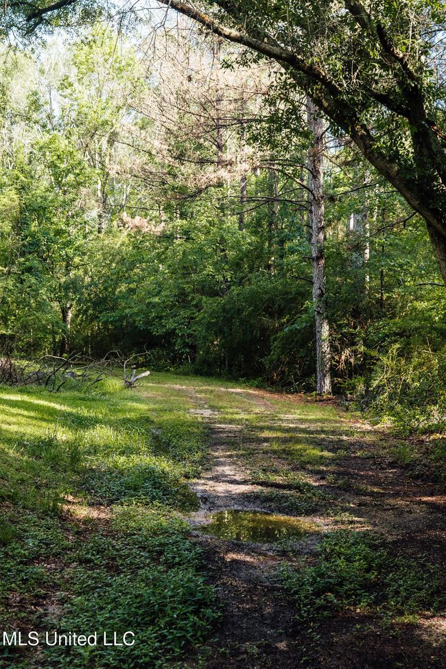 JG Puckett Cabin Pics-50 | Image 63