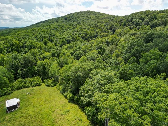0 Allens Creek Rd, Home with 0 bedrooms, 0 bathrooms and null parking in GLADSTONE VA | Image 20