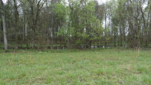 0 Denton Rd, Moss, TN, 38575 | Card Image