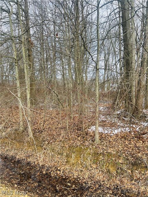 Lot 113 Breezewood Ln, Orwell, OH, 44076 | Card Image
