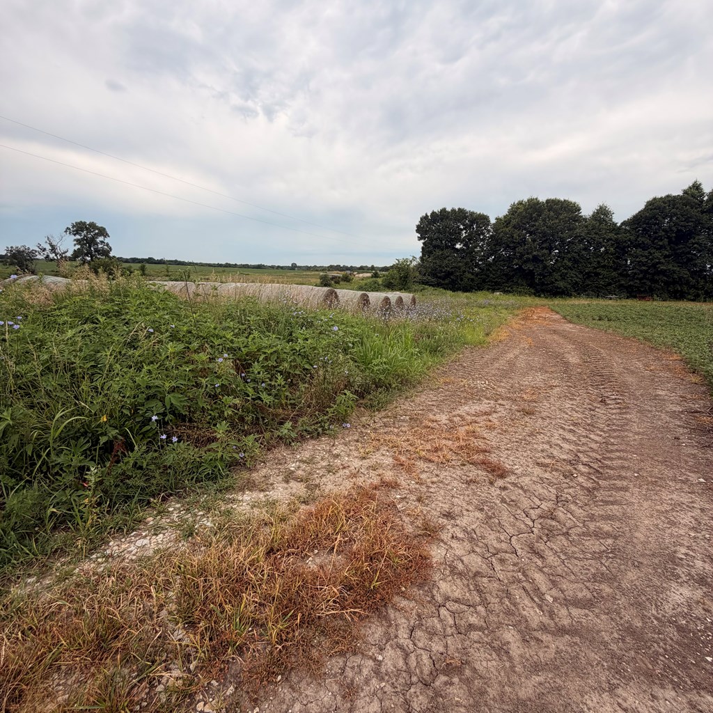 Land in Macon 2