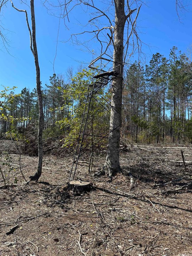00 Highway 278 Highway, Home with 0 bedrooms, 0 bathrooms and null parking in Rosston AR | Image 5