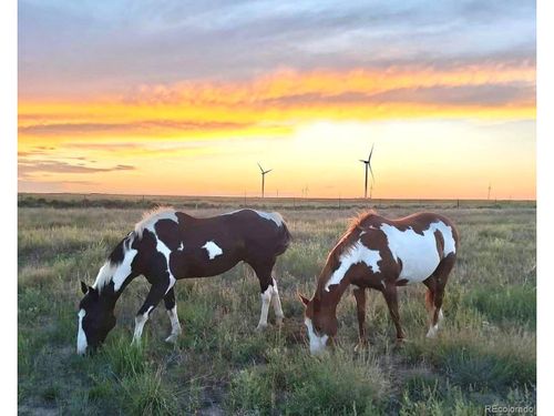 53647 County Road 36.4, Genoa, CO, 80818-9017 | Card Image