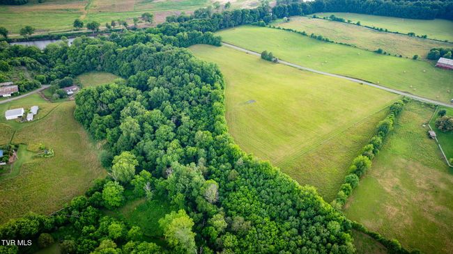 185 Lester Snapp Rd, Home with 0 bedrooms, 0 bathrooms and null parking in Limestone TN | Image 4
