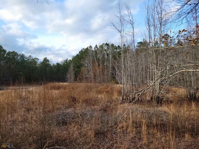 2757 Us Highway 1 N, Home with 0 bedrooms, 0 bathrooms and null parking in swainsboro GA | Image 29