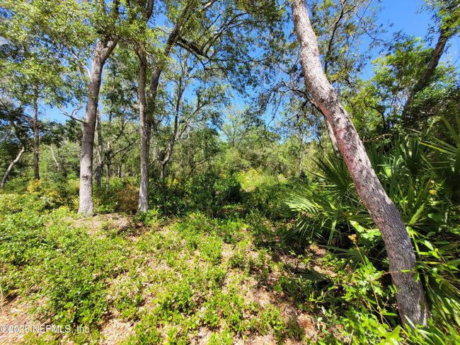 2155 State Road 40, Home with 0 bedrooms, 0 bathrooms and null parking in De Leon Springs FL | Image 77