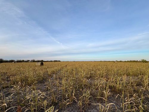 366 County Road 123, Buckholts, TX, 76518 | Card Image