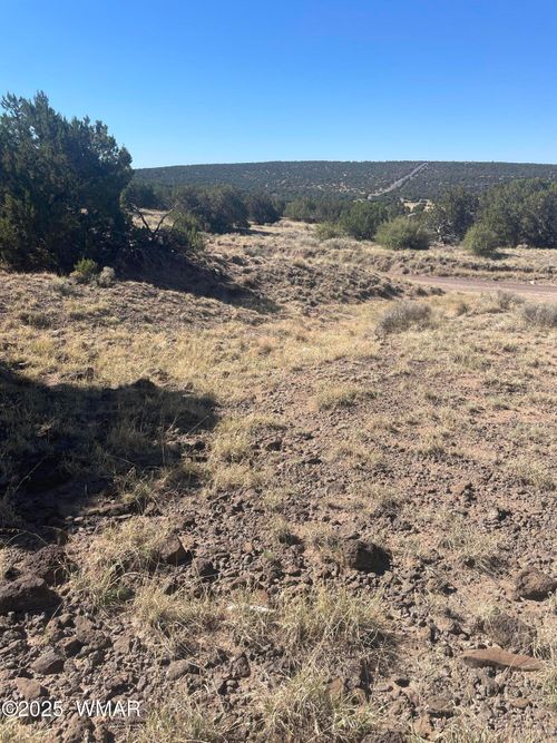 87 Lexington, Concho, AZ, 85924 | Card Image