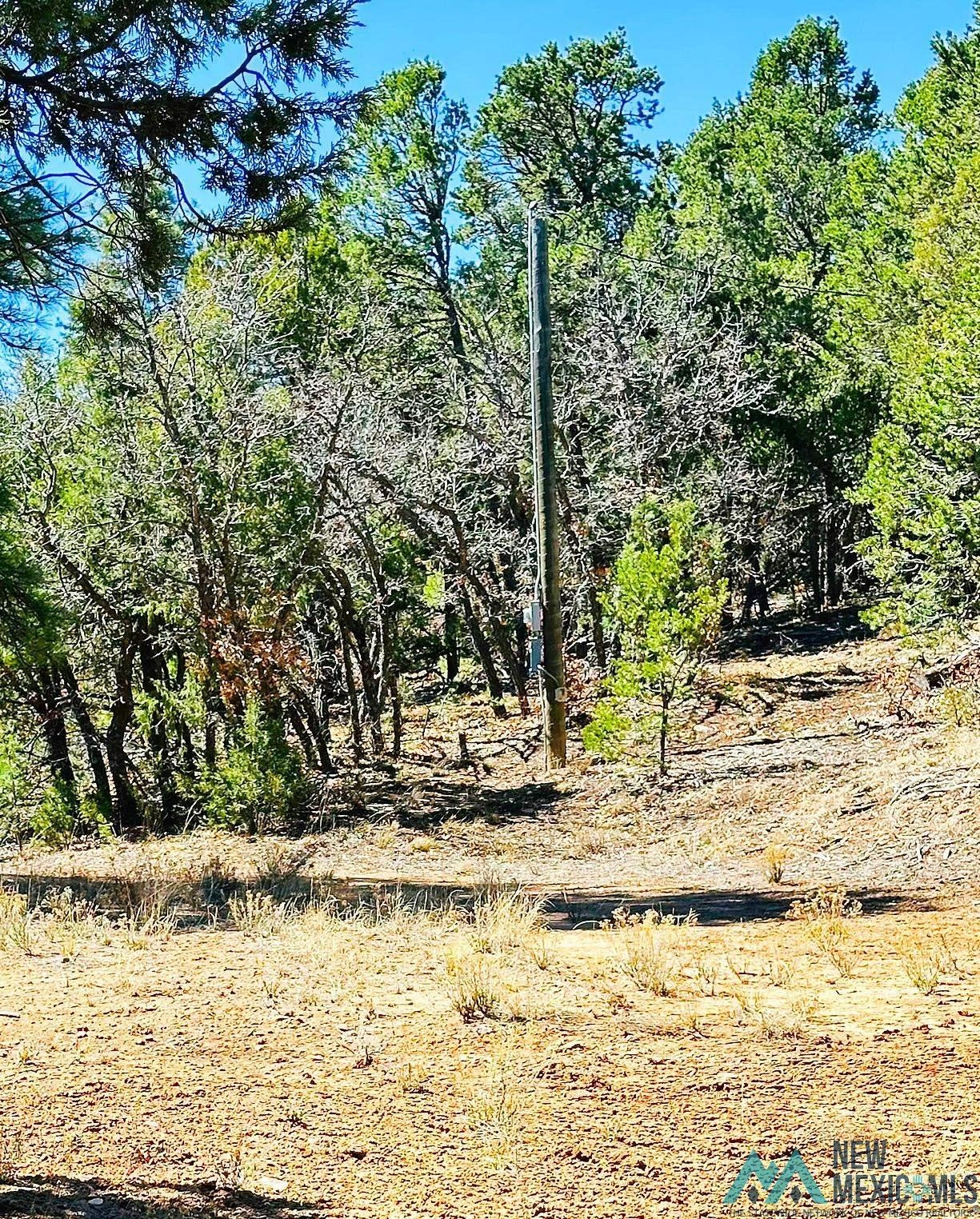 Land in Tijeras 3