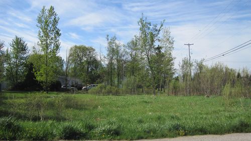 TBD Lot 47 Leona, Chippewa Township, MI, 48858 | Card Image